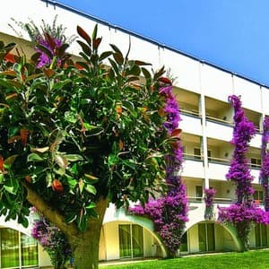Labranda Alantur