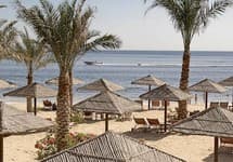 Miramar Al Aqah Beach Resort — фото 3