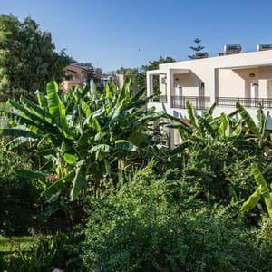 Dorian Apartments Bali