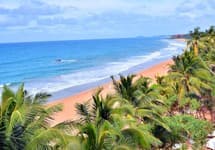 Pandanus Beach Resort & Spa — фото 3