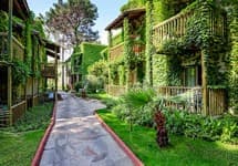 Gypsophila Club Marine — фото 2