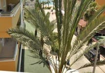 Ozcan Hotel — фото 4