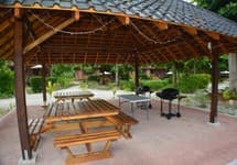 Heliconia Grove — фото 2