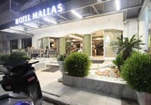 Mallas Hotel — фото 2