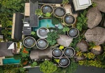Canggu Cabana Resort by Ini Vie Hospitality — фото 4