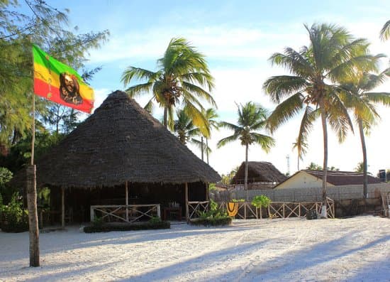 New Jambo Bungalows