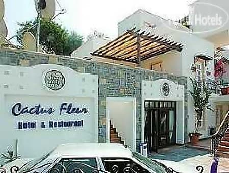 Cactus Fleur Beach Club