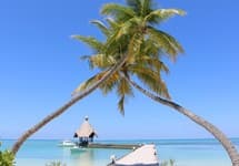 Canareef Resort Maldives — фото 4