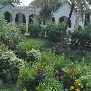 Kihori Beach Bungalows