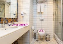 Viking Suite Hotel — фото 4