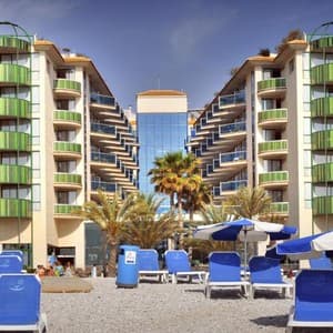Kaktus Albir