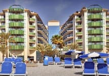 Kaktus Albir — фото 2