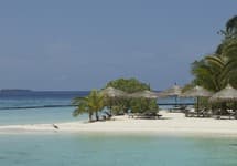 Gangehi Island Resort & Spa — фото 3