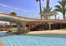 Kaktus Albir — фото 3