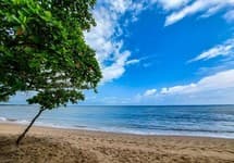 Golden Pearl Tangalle Beach — фото 3