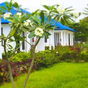 Kigwedeni Villas & Spa