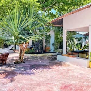 Papaya Guest House