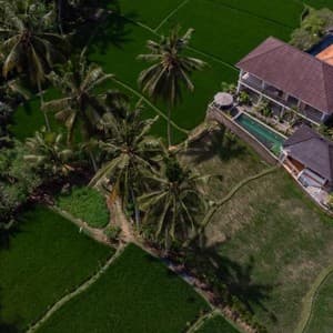 Готель Tri Dewi Residence — о. Балі, Індонезія
