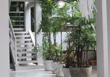 Primrose Guest House — фото 4