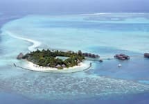 Gangehi Island Resort & Spa — фото 4