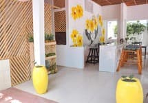 Papaya Guest House — фото 3