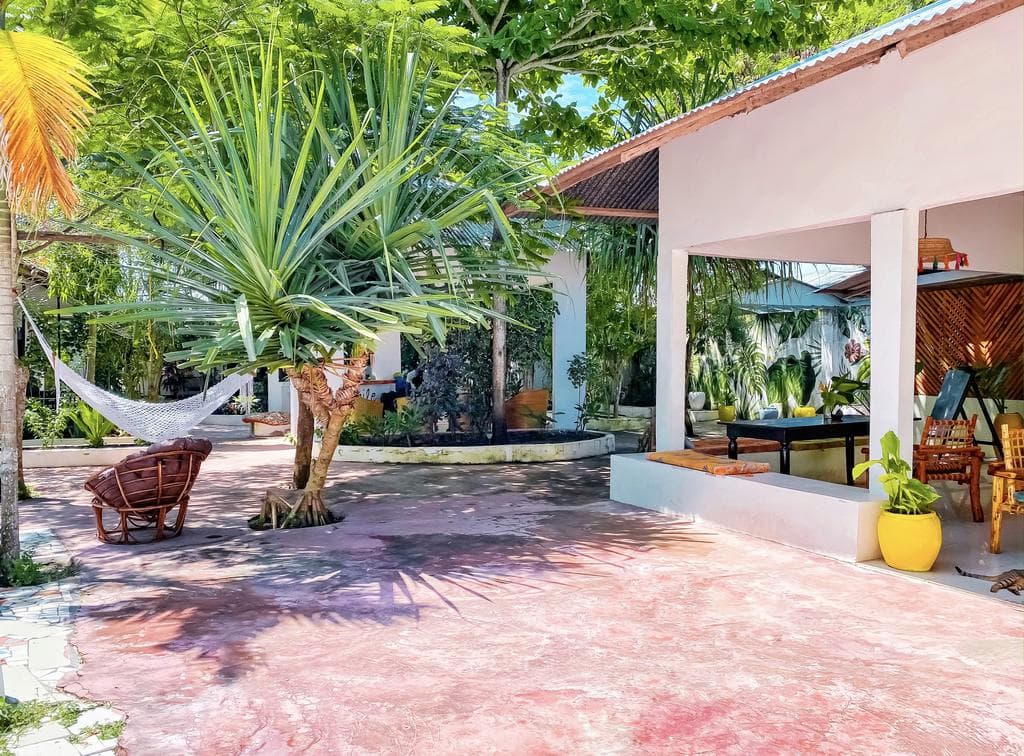 Papaya Guest House