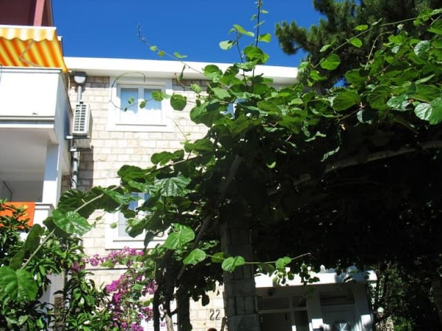 Radjenovic Boja Villa